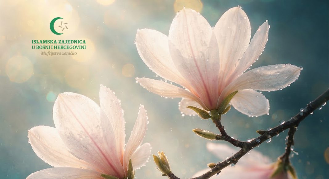 Bajram šerif mubarek olsun